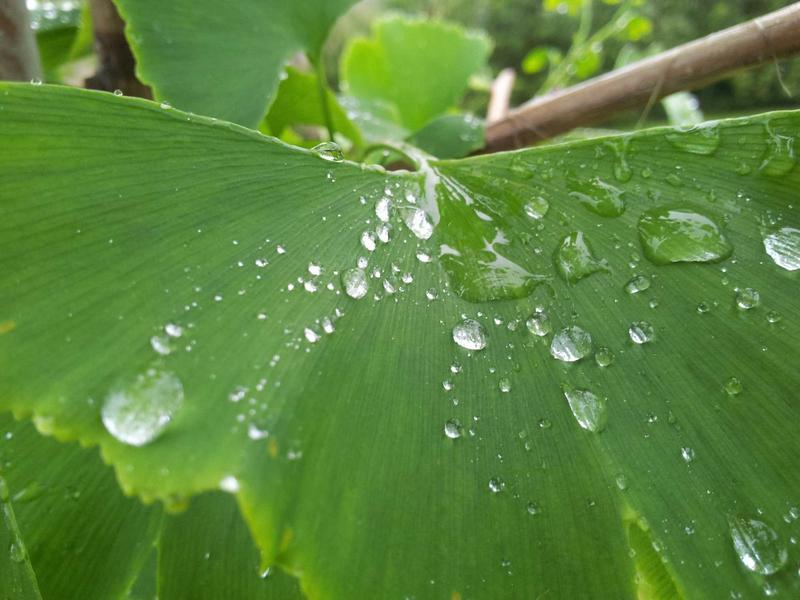 水墨抽象<br>qyf5seag.cn 赵无极狂草